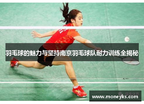 羽毛球的魅力与坚持南京羽毛球队耐力训练全揭秘